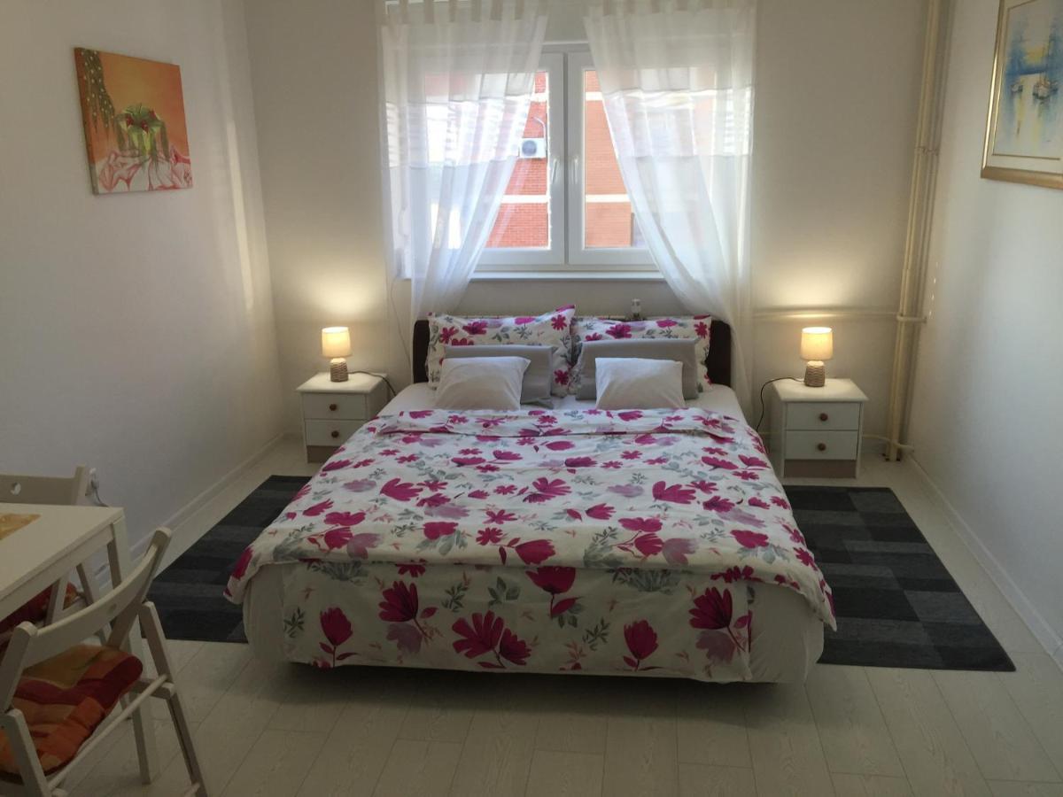 Studio Apatrman Pijalovic Bjelovar Exteriör bild