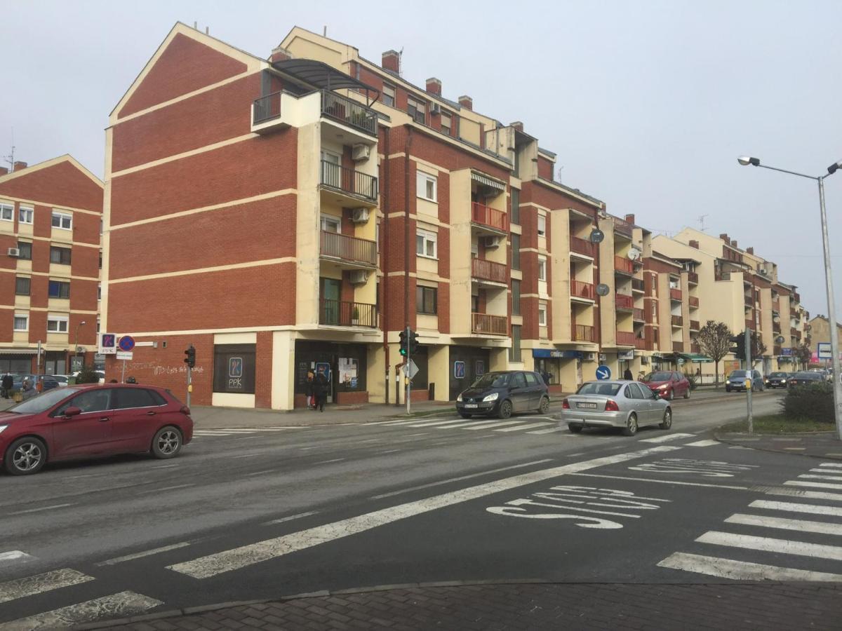 Studio Apatrman Pijalovic Bjelovar Exteriör bild